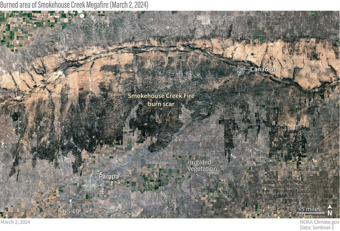 Radar Image