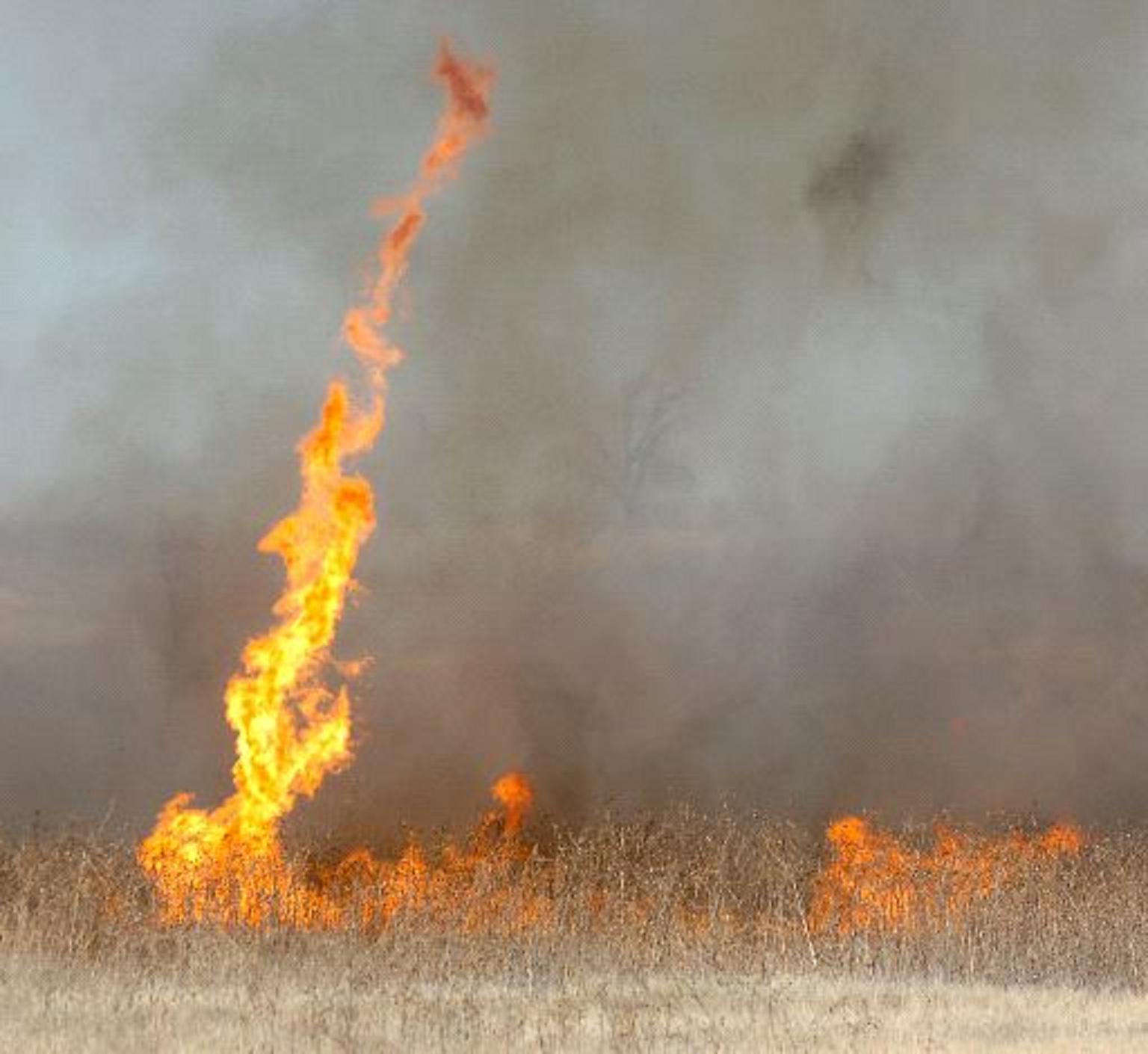 Lake Meredith Prescribed Burn