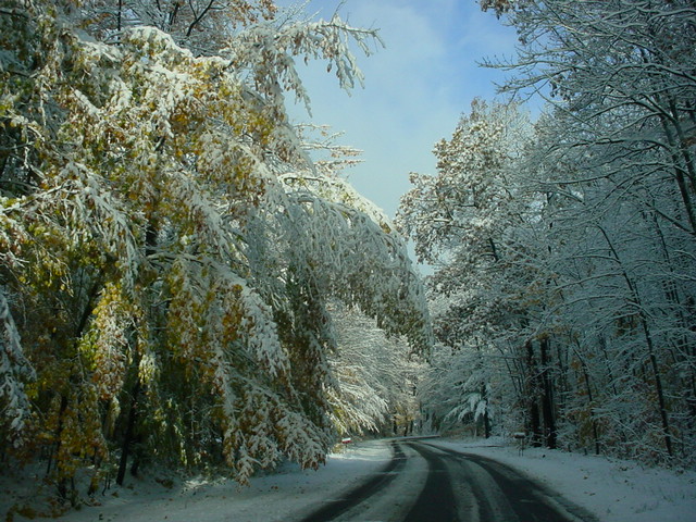 View Latest Recreational Forecast for Northern Michigan
