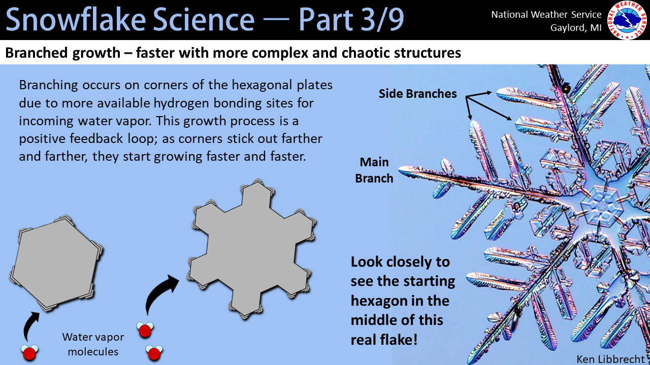 Snow science: What is a snowflake? - MSU Extension