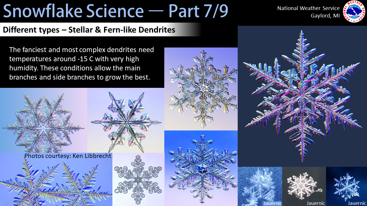 Snow science: What is a snowflake? - MSU Extension