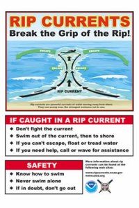 Rip Current Safety Poster and Link