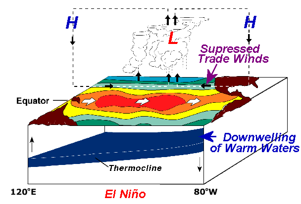 El Nino Schematic