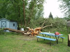 tree damage Le Grange aug 23 2006 