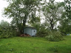 Tree Damage Community of LaGrange 08-23-06