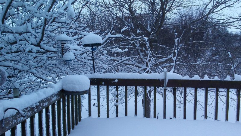 snow