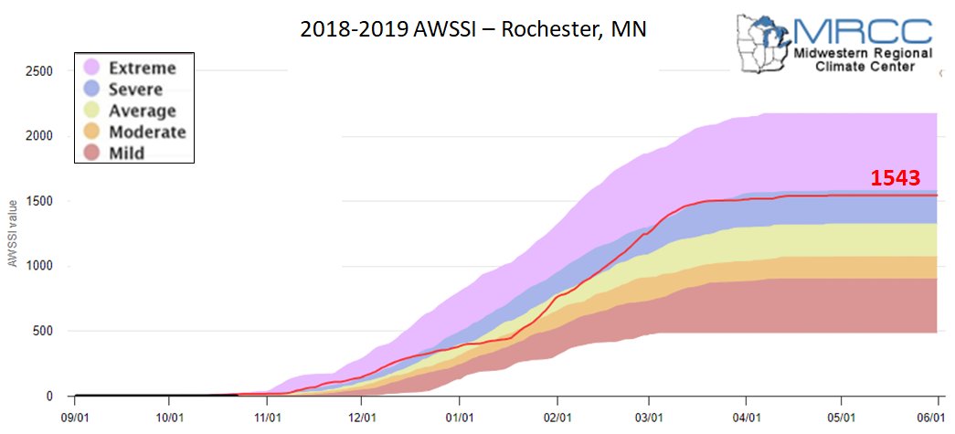 2018-19 AWSSI for Rochester, MN
