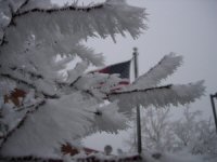 https://www.weather.gov/images/arx/frost.jpg