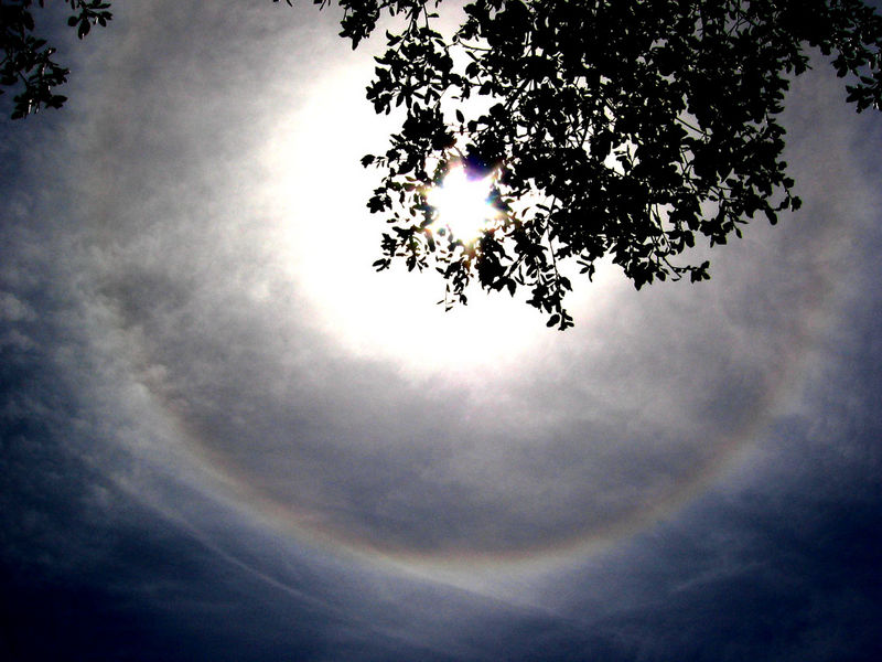 Does a Halo Around The Sun Mean Rain To Follow?