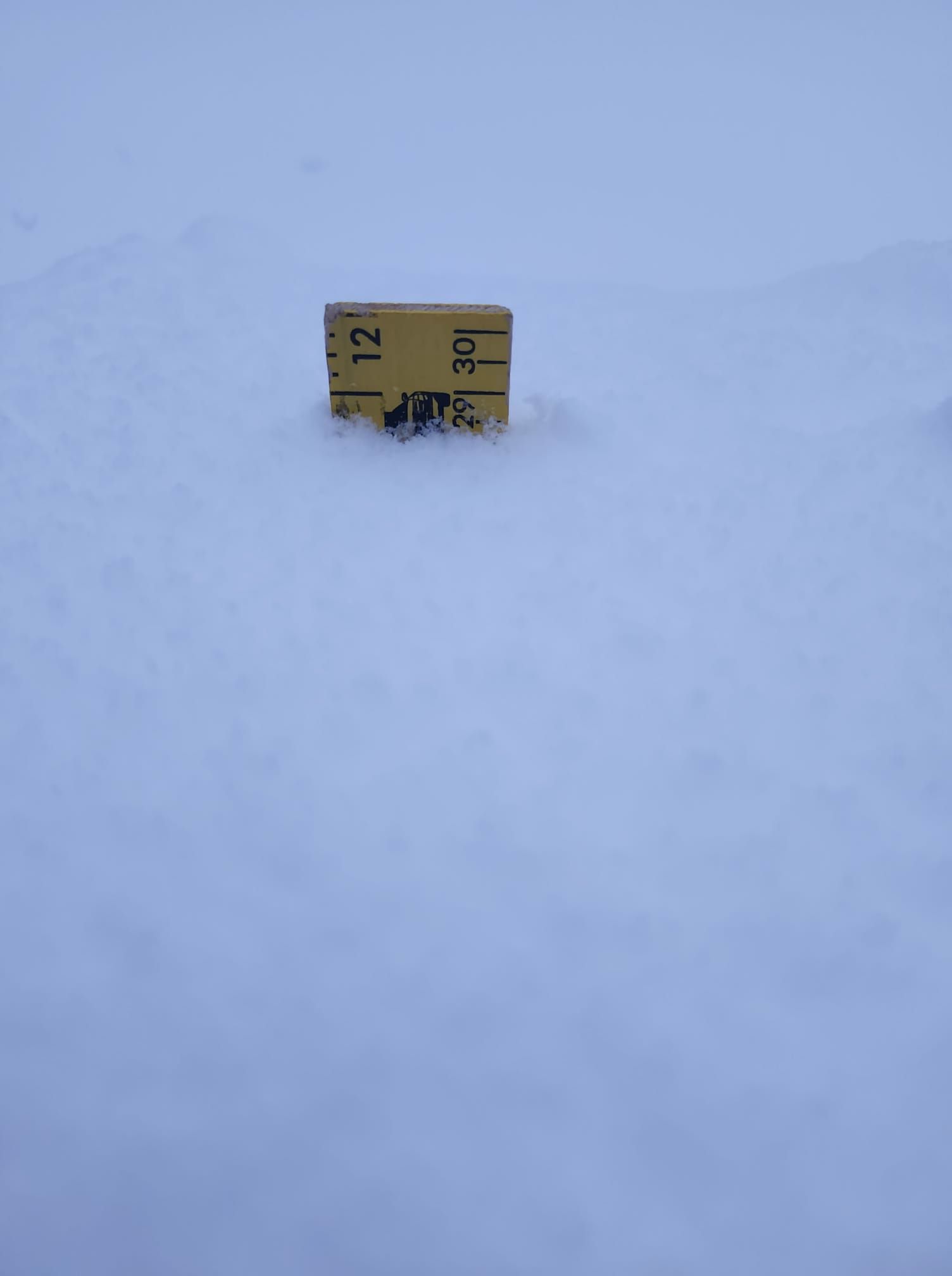 Ruler in the snow measuring near 11.5 inches