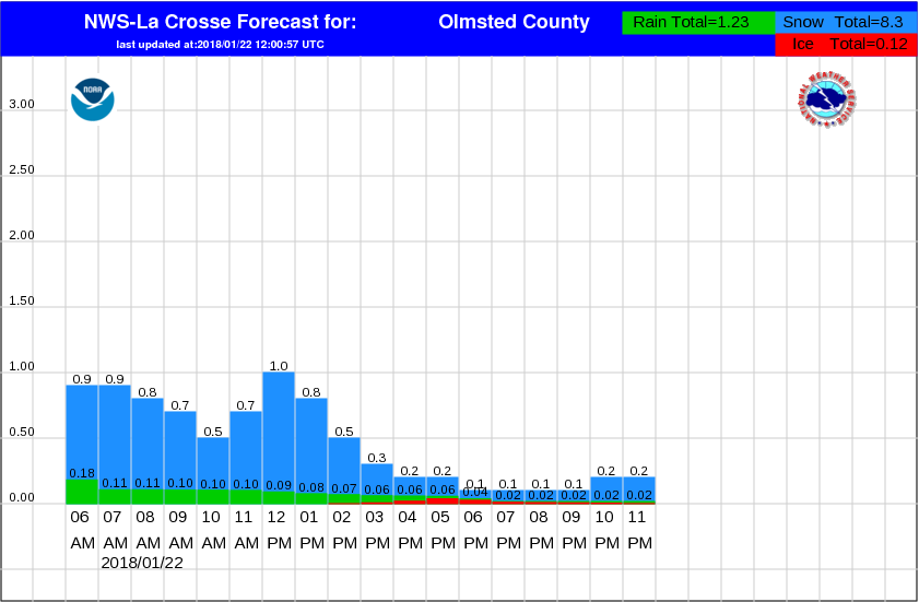 hourly snowfall graph