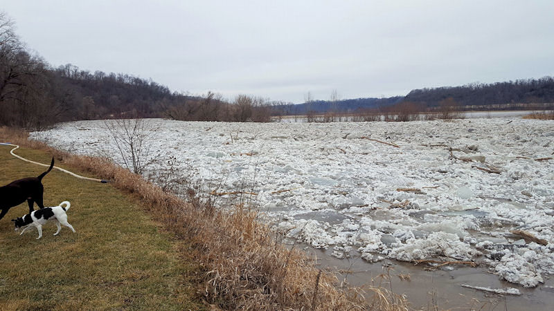 ice jam photo