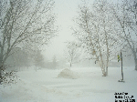 Near whiteout conditions in western Wisconsin