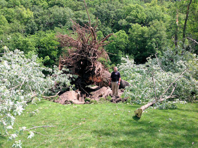Damage