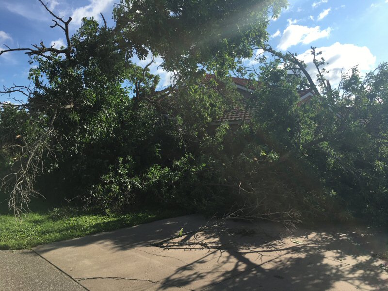 damage near Osseo