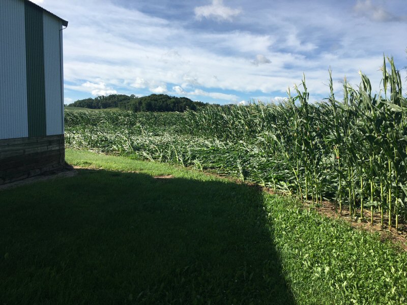 damage near Osseo