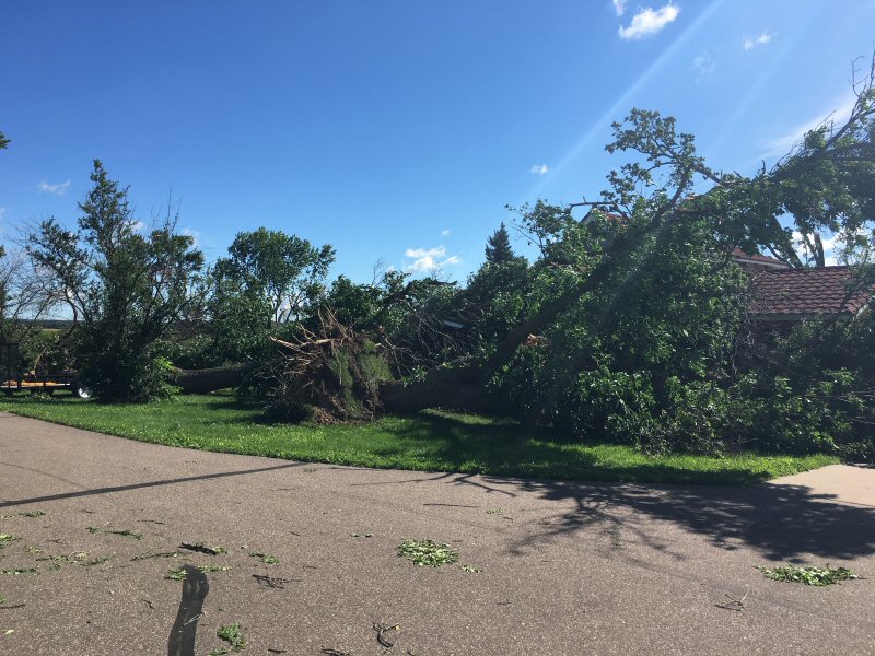 damage near Osseo