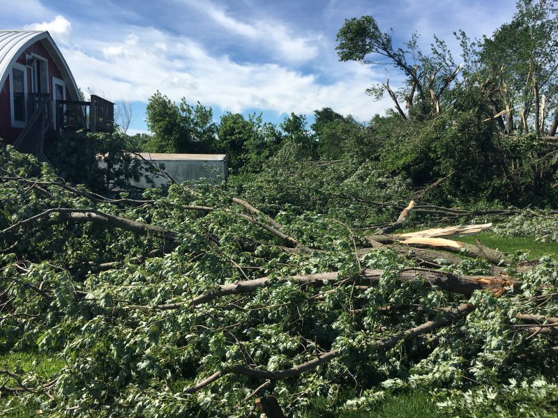 damage near Osseo