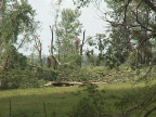 link to larger image of tornado damage