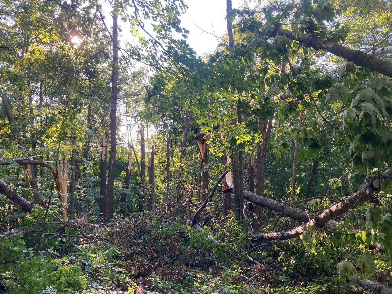 Storm damage