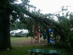 storm damage in West Salem