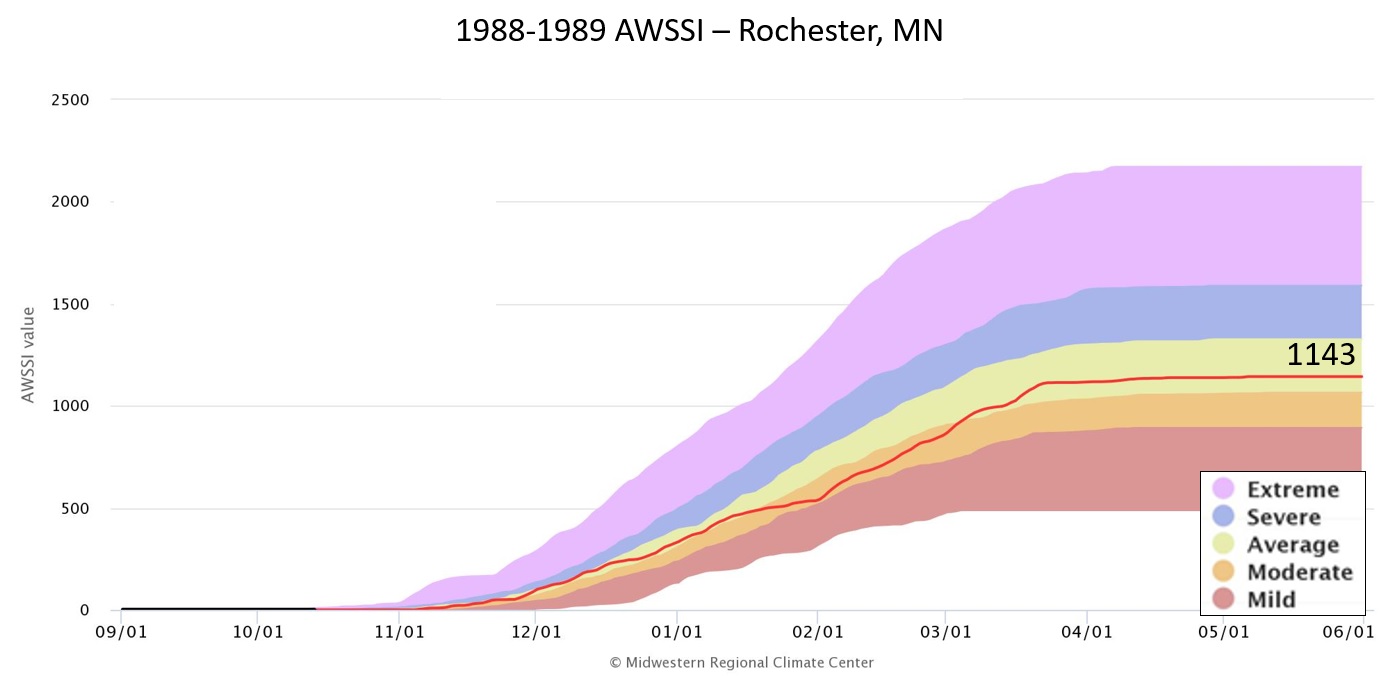 1988-89 AWSSI for Rochester, MN