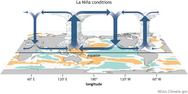 Generalized Walker Circulation (December-February) anomaly during La NiÃ±a events, overlaid on map of average sea surface temperature anomalies. Anomalous ocean cooling (blue-green) in the central and eastern Pacific Ocean and warming over the western Pacific Ocean enhance the rising branch of the Walker circulation over the Maritime Continent and the sinking branch over the eastern Pacific Ocean. Enhanced rising motion is also observed over northern South America, while anomalous sinking motion is found over eastern Africa. NOAA Climate.gov drawing by Fiona Martin. 