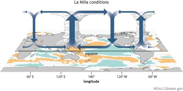 Generalized Walker Circulation (December-February) anomaly during La Niña events, overlaid on map of average sea surface temperature anomalies. Anomalous ocean cooling (blue-green) in the central and eastern Pacific Ocean and warming over the western Pacific Ocean enhance the rising branch of the Walker circulation over the Maritime Continent and the sinking branch over the eastern Pacific Ocean. Enhanced rising motion is also observed over northern South America, while anomalous sinking motion is found over eastern Africa. NOAA Climate.gov drawing by Fiona Martin. 