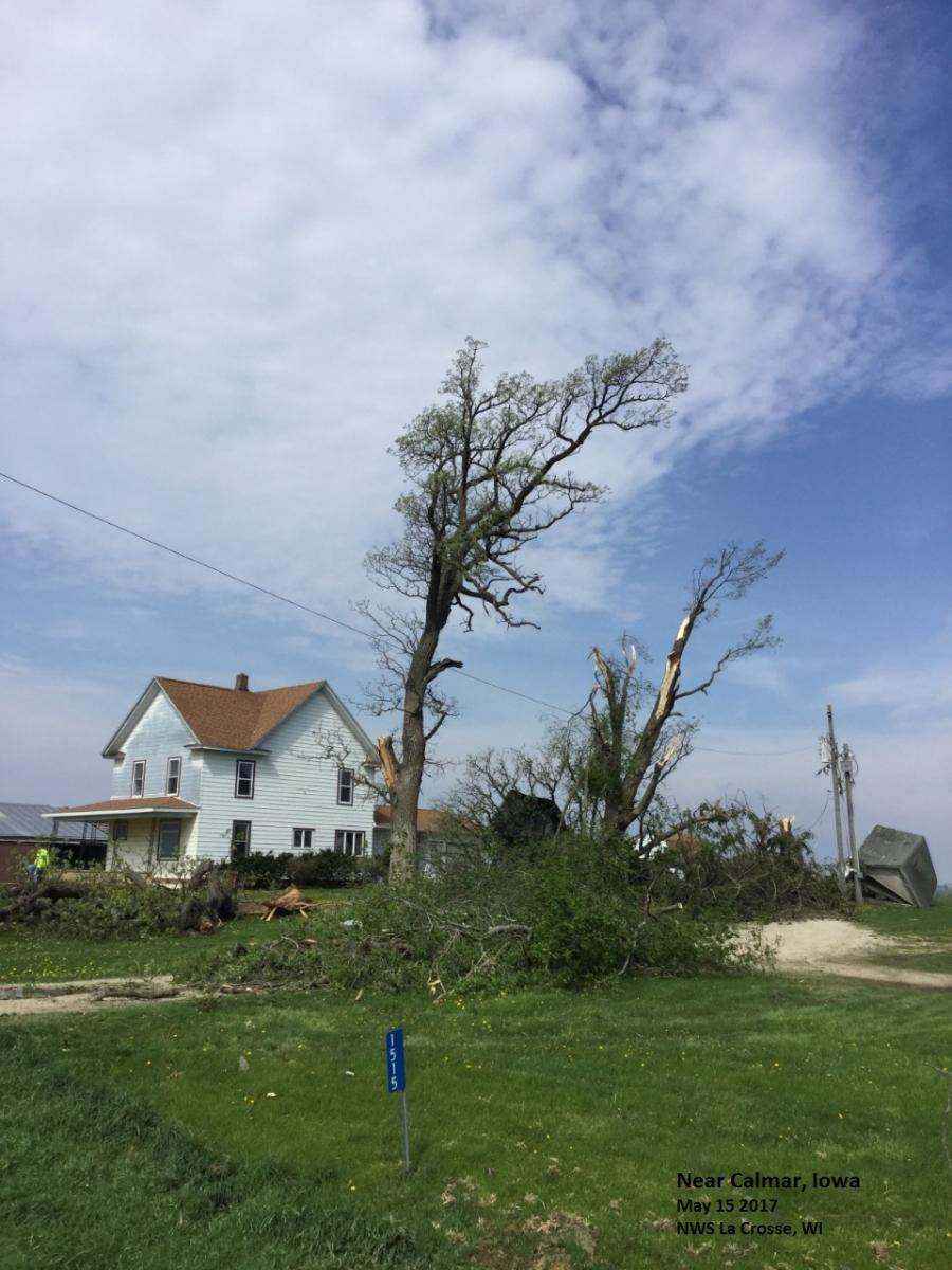 Wind Damage Near Calmar, IA