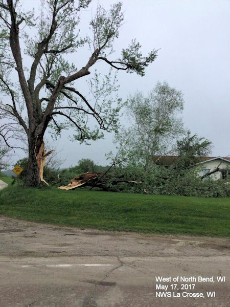 Wind Damage West of North Bend, WI