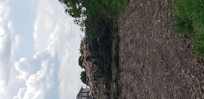 Damage photo