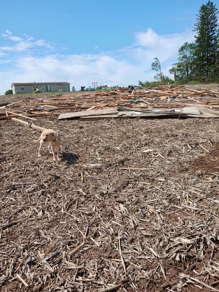 Damage photo