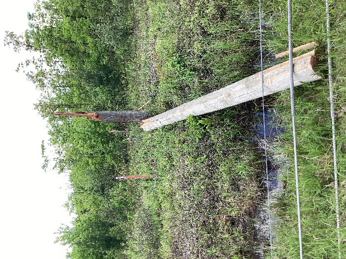 Damage photo