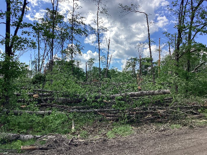 Damage photo