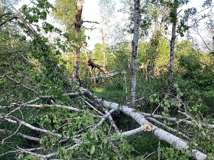 Damage photo