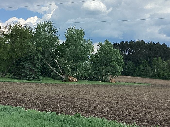 Damage photo