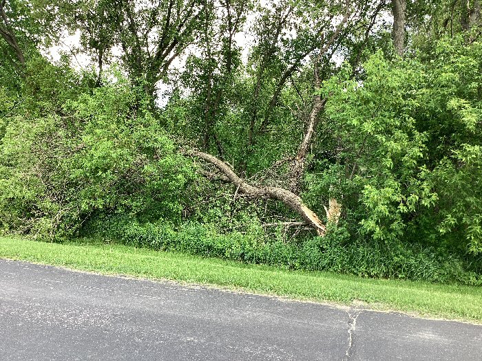 Damage photo
