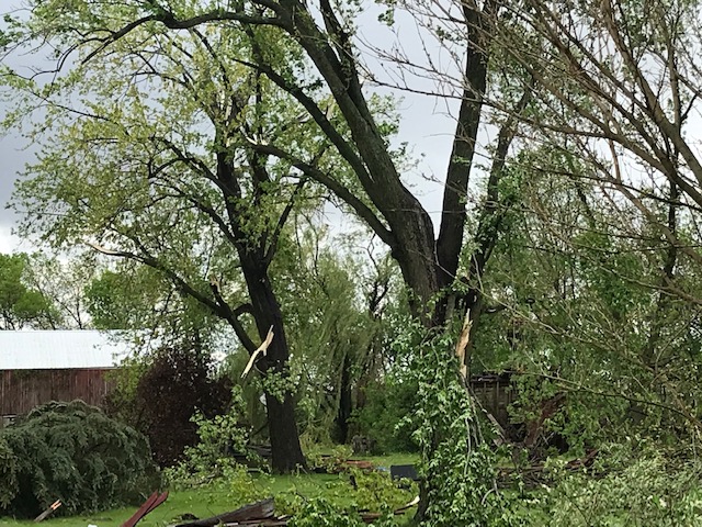 ccy tornado