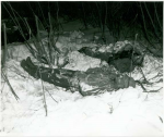 A few of the hunters who died in the storm. Source: Minneapolis Star Journal