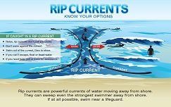 Rip Currents - Know your Options