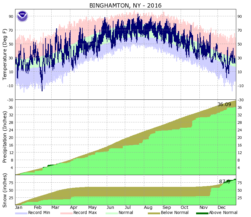 Local Month/Year Temperature & Precipitation Charts for Binghamton, NY 2016