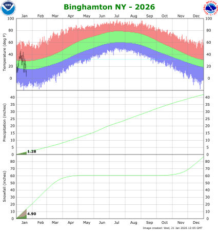 Binghamton, NY Precipitation