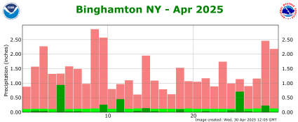 Binghamton, NY Precipitation