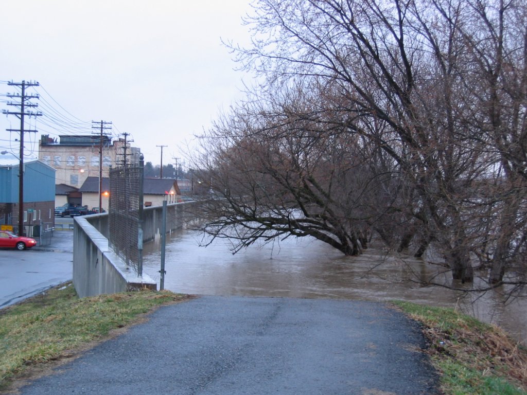 Susquehanna River near Vestal, NY.