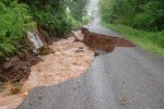 Taken around 10:00 am on the June 28th, 2006 in the Town of Delhi, Delaware County on Bell Hill Road near the intersection of Peakes Brook Road.