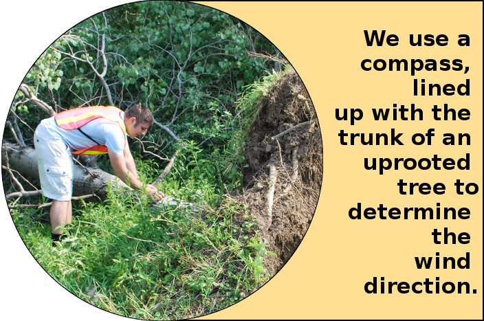 We use a compass, lined up with the trunk of an uprooted tree to determine the wind direction.