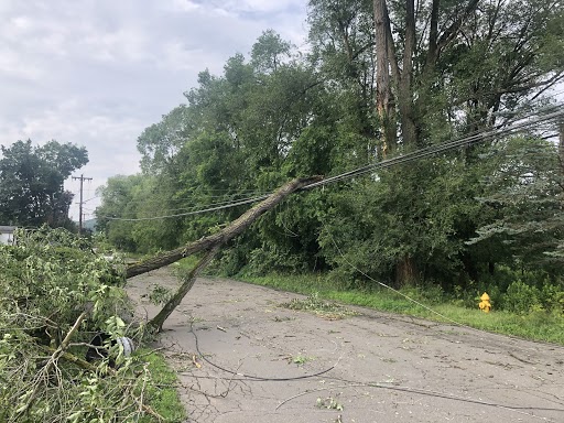 Tree on wires south Glann Rd Apalachin NY