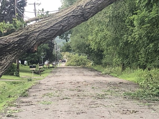 Tree on wires south Glann Rd Apalachin NY