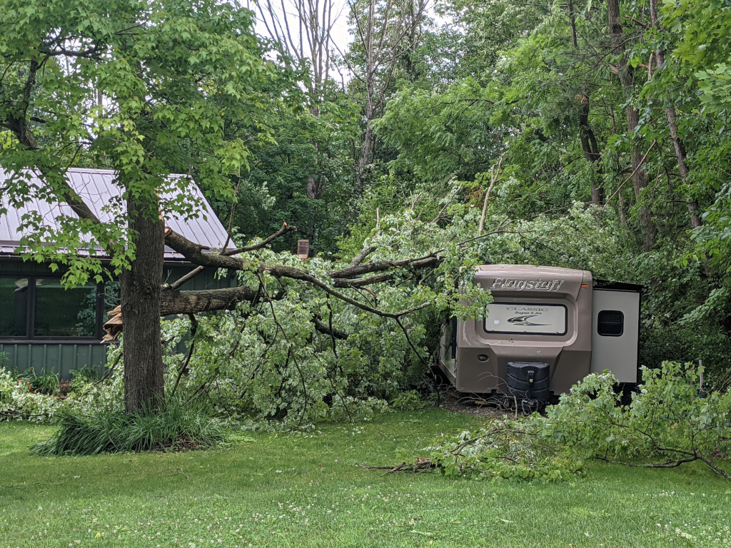 Tree on trailer, Apalachin NY