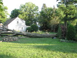 Trees down in Rome, NY